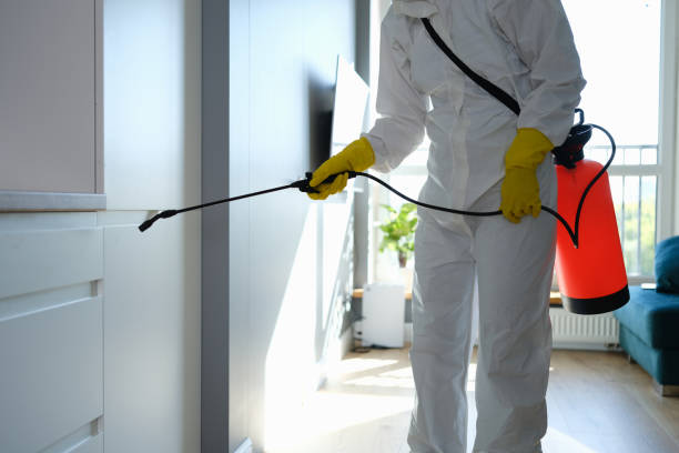 Leslie, MI Mold Removal Company